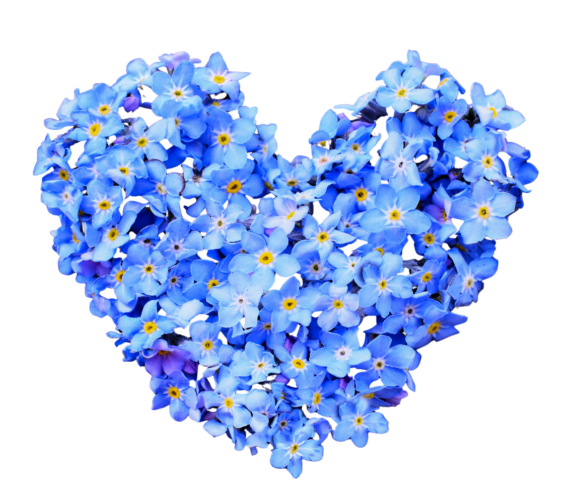 karangan bunga papan makassar